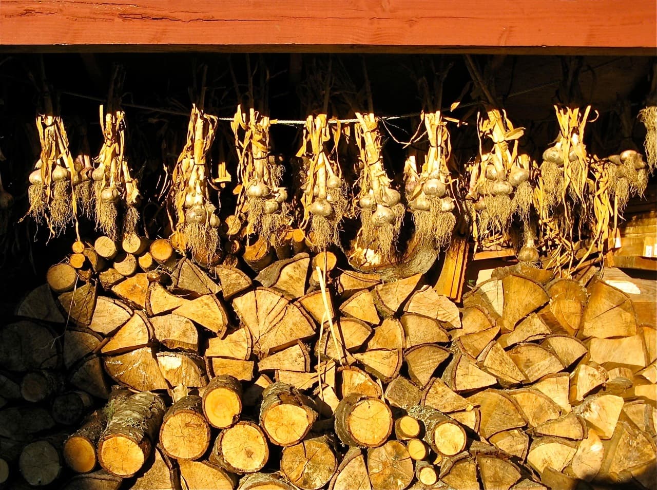 Late Summer Feast with Roasted Chicken and Chanterelle Gravy