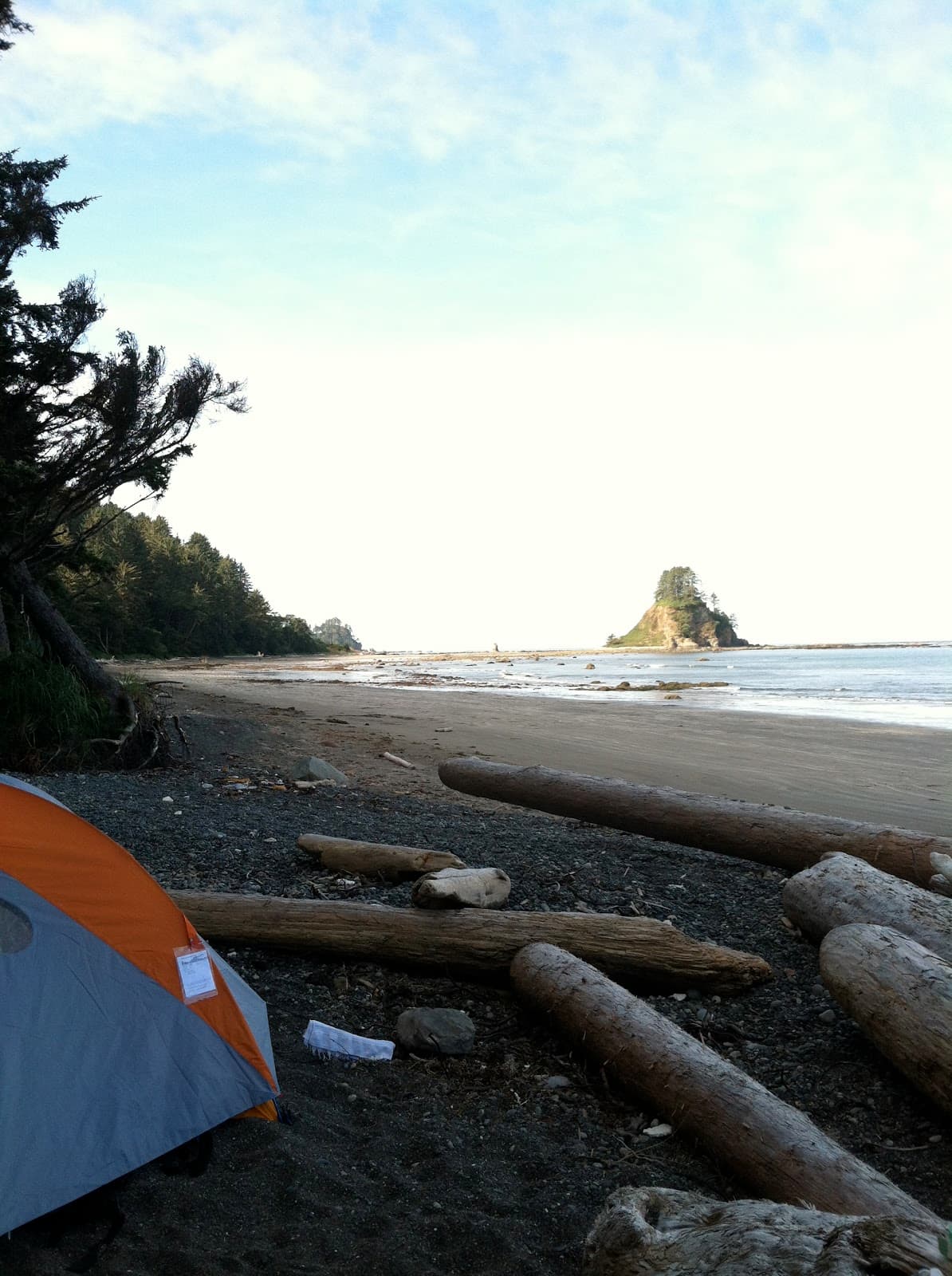 Not Your Cardamom's Oatmeal